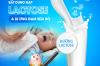 BẤT DUNG NẠP LACTOSE & DỊ ỨNG ĐẠM SỮA BÒ Ở TRẺ – MẸ ĐÃ HIỂU ĐÚNG?