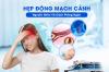 NGUY CƠ TẮC NGHẼN VÀ CÁCH PHÒNG NGỪA - BỆNH LÝ ĐỘNG MẠCH CẢNH