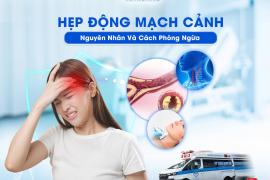 HẸP ĐỘNG MẠCH CẢNH NGUYÊN NHÂN VÀ CÁCH PHÒNG NGỪA