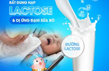 BẤT DUNG NẠP LACTOSE & DỊ ỨNG ĐẠM SỮA BÒ Ở TRẺ – MẸ ĐÃ HIỂU ĐÚNG?